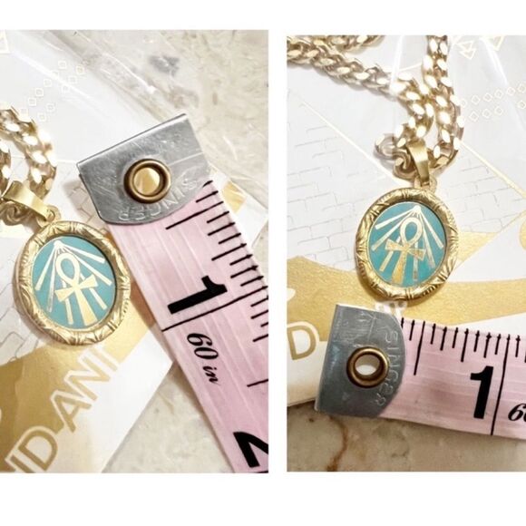 Alex and Ani Color Infusion 18" Ankh Necklace - Picture 14 of 15